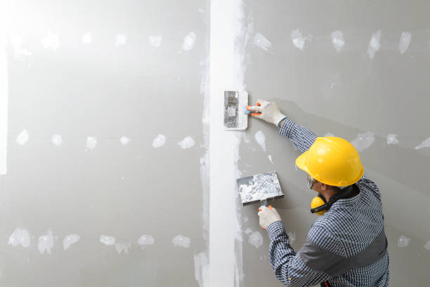 Professional Painting & Drywall Installation in Bass Lake, IN